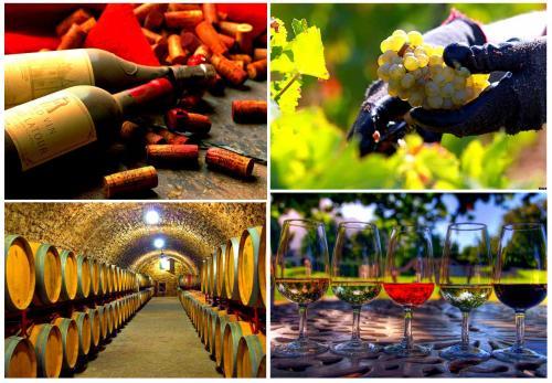 Искушение вином: новый формат винного туризма по России будет представлен на «Интурмаркете»