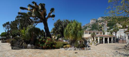 Экзотический сад Монако среди 150 самых красивых садов мира