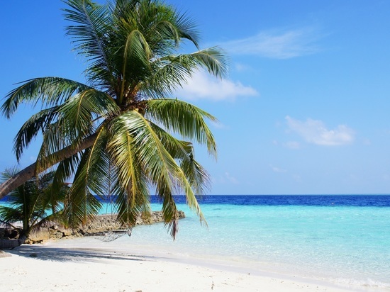  Туристы рассказали об опасностях, подстерегающих на райских Мальдивах