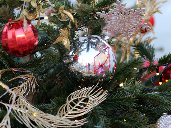 Администрация Калининграда официально отменила покупку новогодней елки ради мобилизованных