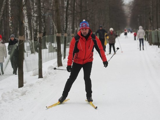 Депутаты предложили прокладывать лыжные трассы в лесах без ограничений