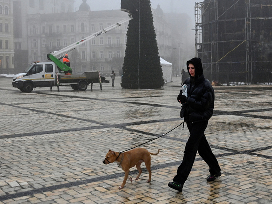 Как сейчас зарабатывают жители Украины: выгуливают собак, стирают все подряд