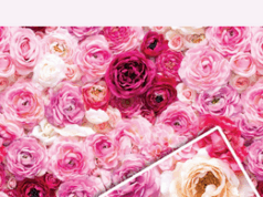 Упаковка для квітів: як вибрати ідеальну, щоб букет зачарував