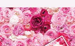 Упаковка для квітів: як вибрати ідеальну, щоб букет зачарував