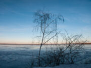 Что можно, а что нельзя делать 20 ноября, в Федотов день