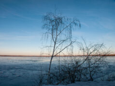 Что можно, а что нельзя делать 20 ноября, в Федотов день
