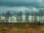 Что можно, а что нельзя делать 13 ноября в День Спиридона и Никодима