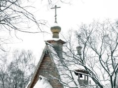 Что можно, а что нельзя делать 3 января в день Петра-полукорма