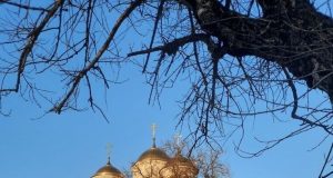 Что можно, а что нельзя делать 21 февраля в Захарьев день