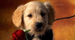 Дни рождения 16 марта