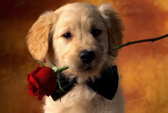 Дни рождения 16 марта